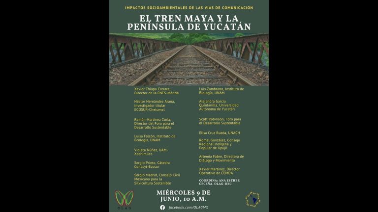 El Tren Maya y la Península de Yucatán. Impactos socioambientales de las vías de comunicación